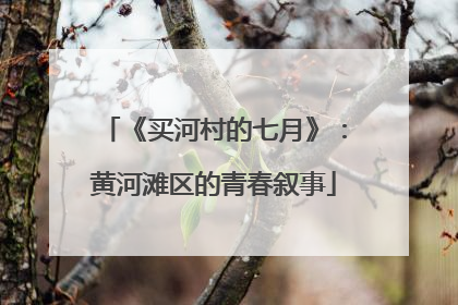 《买河村的七月》：黄河滩区的青春叙事