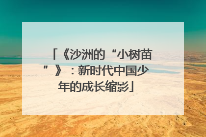 《沙洲的“小树苗”》：新时代中国少年的成长缩影