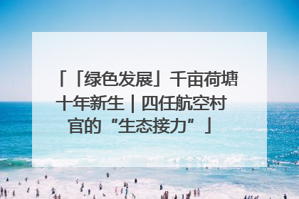 「绿色发展」千亩荷塘 十年新生｜四任航空村官的“生态接力”