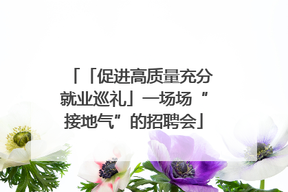 「促进高质量充分就业巡礼」一场场“接地气”的招聘会