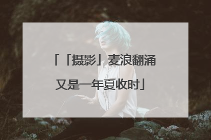 「摄影」麦浪翻涌 又是一年夏收时
