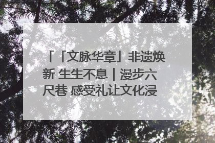 「文脉华章」非遗焕新 生生不息｜漫步六尺巷 感受礼让文化浸润的“巷”往生活