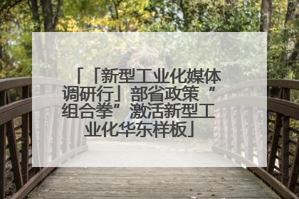 「新型工业化媒体调研行」部省政策“组合拳”激活新型工业化华东样板