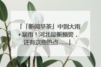 「新闻早茶」中到大雨+暴雨！河北最新预警，还有这些热点……