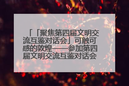 「聚焦第四届文明交流互鉴对话会」可触可感的敦煌——参加第四届文明交流互鉴对话会的外宾参观上元市集