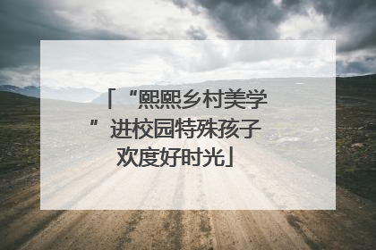 “熙熙乡村美学”进校园特殊孩子欢度好时光