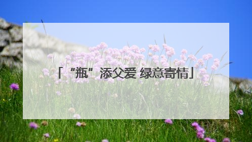 “瓶”添父爱 绿意寄情