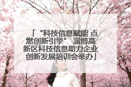 “科技信息赋能 点燃创新引擎” 淄博高新区科技信息助力企业创新发展培训会举办