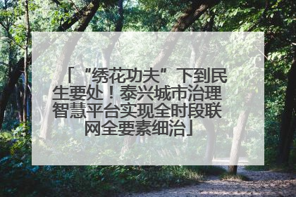 “绣花功夫”下到民生要处！泰兴城市治理智慧平台实现全时段联网全要素细治