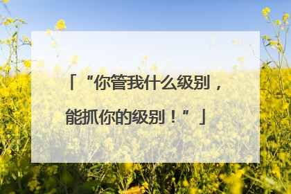 “你管我什么级别，能抓你的级别！”
