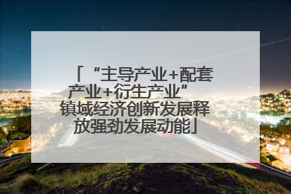 “主导产业+配套产业+衍生产业” 镇域经济创新发展释放强劲发展动能