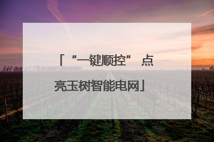 “一键顺控” 点亮玉树智能电网