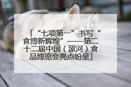 “七项第一”书写“食博新辉煌”——第二十二届中国（漯河）食品博览会亮点纷呈