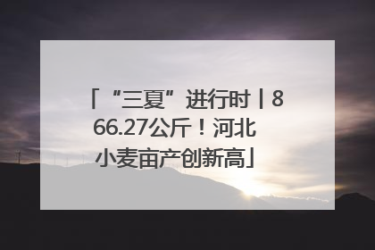 “三夏”进行时丨866.27公斤！河北小麦亩产创新高