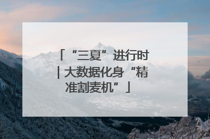 “三夏”进行时｜大数据化身“精准割麦机”