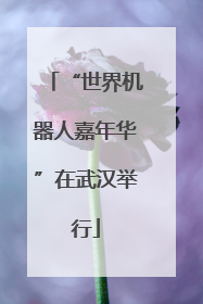 “世界机器人嘉年华”在武汉举行