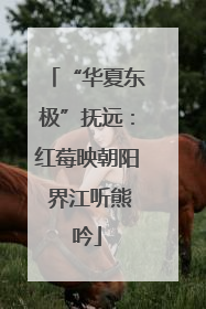 “华夏东极”抚远：红莓映朝阳 界江听熊吟
