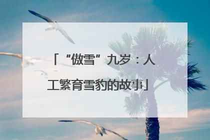 “傲雪”九岁：人工繁育雪豹的故事