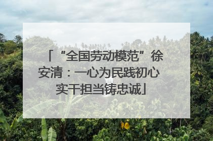 “全国劳动模范”徐安清：一心为民践初心 实干担当铸忠诚