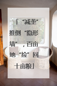 “减垄”推倒“隐形墙”，百亩地“捡”回十亩粮