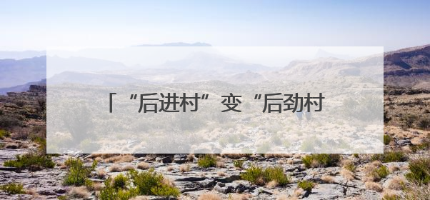 “后进村”变“后劲村”！胜利村探索走出“城中村”转型治理新路径