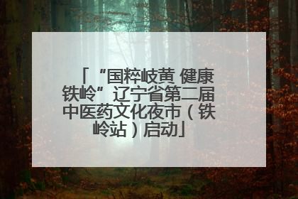 “国粹岐黄 健康铁岭”辽宁省第二届中医药文化夜市（铁岭站）启动