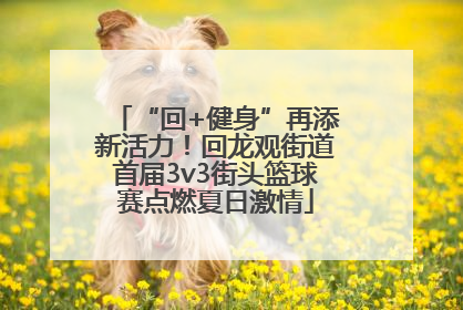 “回+健身”再添新活力！回龙观街道首届3v3街头篮球赛点燃夏日激情