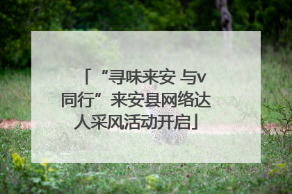“寻味来安 与v同行”来安县网络达人采风活动开启