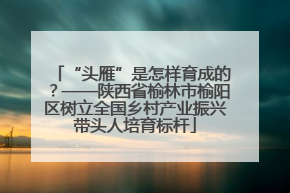 “头雁”是怎样育成的？——陕西省榆林市榆阳区树立全国乡村产业振兴带头人培育标杆