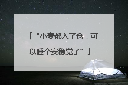 “小麦都入了仓，可以睡个安稳觉了”