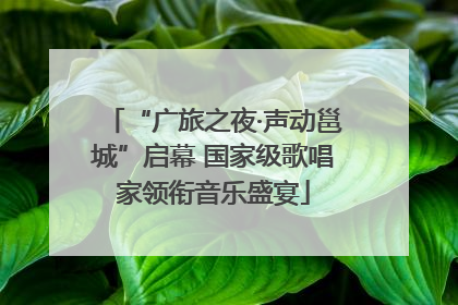 “广旅之夜·声动邕城”启幕 国家级歌唱家领衔音乐盛宴
