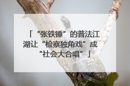 “张铁锤”的普法江湖让“检察独角戏”成“社会大合唱”