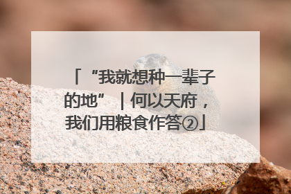 “我就想种一辈子的地”｜何以天府，我们用粮食作答②