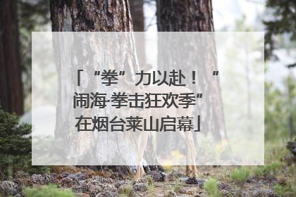 “拳”力以赴！“闹海·拳击狂欢季”在烟台莱山启幕