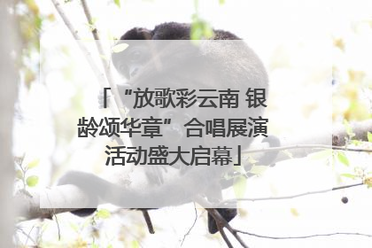“放歌彩云南 银龄颂华章”合唱展演活动盛大启幕