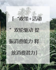 “政策+活动”双轮驱动 提振消费能力 释放消费潜力