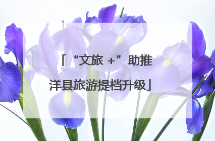 “文旅 +”助推洋县旅游提档升级