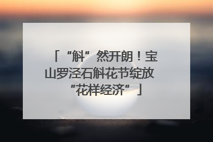 “斛”然开朗！宝山罗泾石斛花节绽放“花样经济”