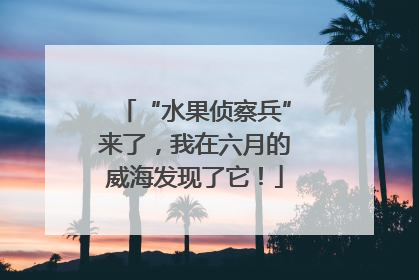 “水果侦察兵”来了，我在六月的威海发现了它！