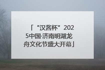 “汉酱杯”2025中国·济南明湖龙舟文化节盛大开幕