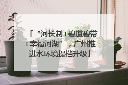 “河长制+碧道碧带+幸福河湖”，广州推进水环境提档升级