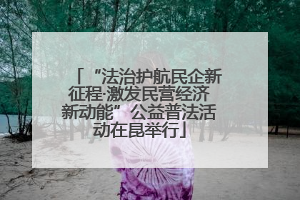 “法治护航民企新征程·激发民营经济新动能”公益普法活动在昆举行
