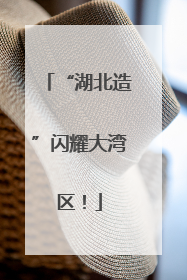 “湖北造”闪耀大湾区！