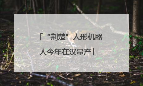 “荆楚”人形机器人今年在汉量产