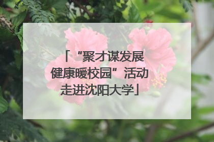 “聚才谋发展 健康暖校园”活动走进沈阳大学