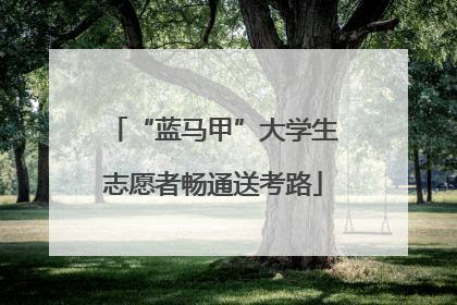 “蓝马甲”大学生志愿者畅通送考路