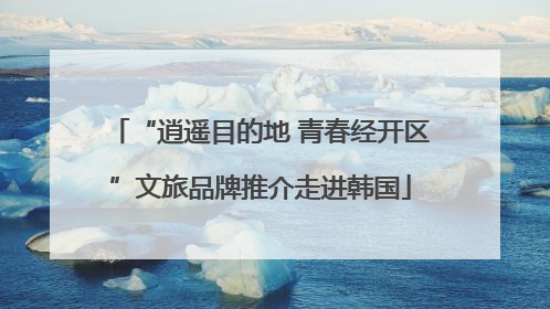 “逍遥目的地 青春经开区”文旅品牌推介走进韩国