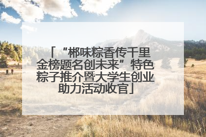 “郴味粽香传千里 金榜题名创未来”特色粽子推介暨大学生创业助力活动收官