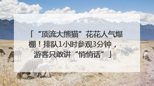 “顶流大熊猫”花花人气爆棚！排队1小时参观3分钟，游客只敢讲“悄悄话”