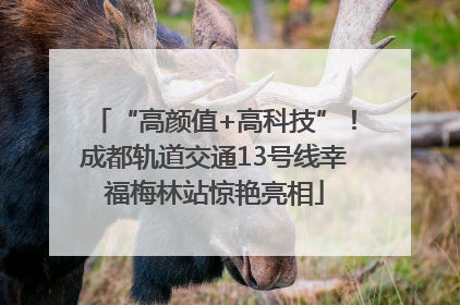 “高颜值+高科技”！成都轨道交通13号线幸福梅林站惊艳亮相